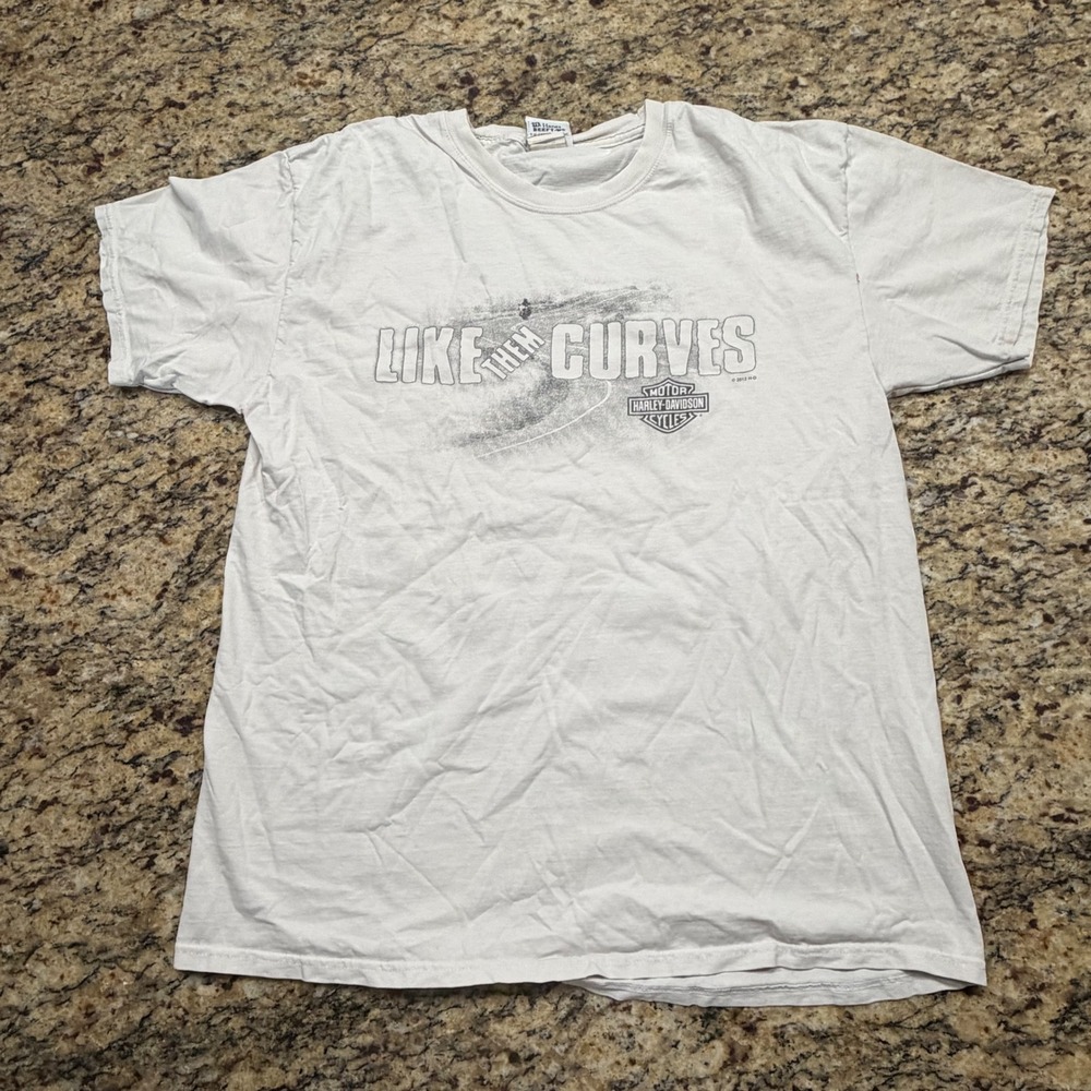 Harley-Davidson City Limits Palatine IL Biker T-Shirt White Mens L Beefy-T ws